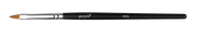 P573 Teptukas #6